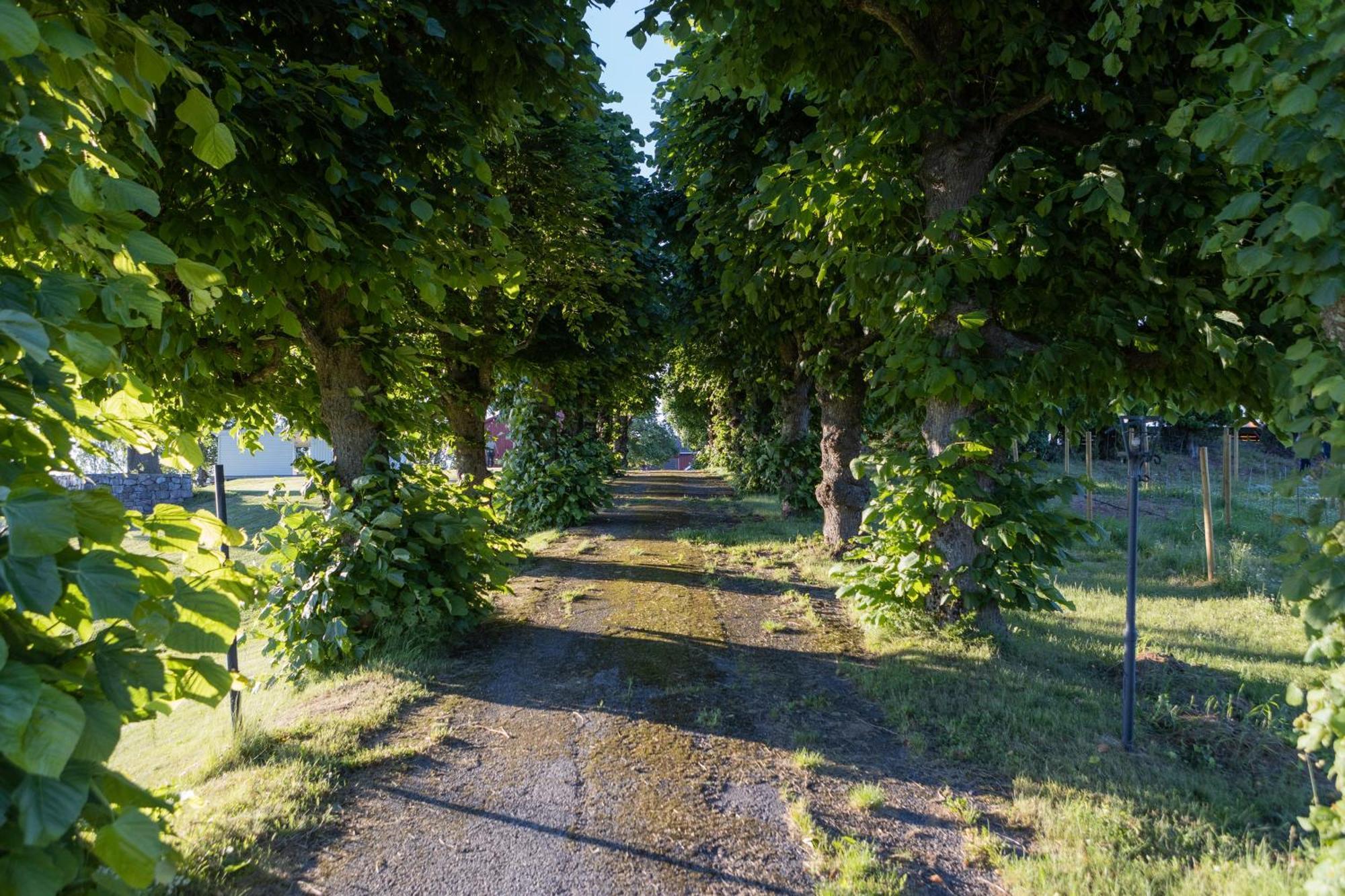 Dal Gjestegaard Skoppum Экстерьер фото